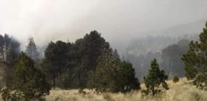 Πυρκαγιά στο Εθνικό Πάρκο Pico de Orizaba στο Μέξικο