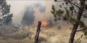 Πυρκαγιά στο Εθνικό Πάρκο Pico de Orizaba στο Μέξικο