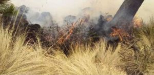 Πυρκαγιά στο Εθνικό Πάρκο Pico de Orizaba στο Μέξικο