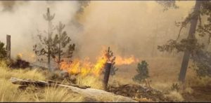 Πυρκαγιά στο Εθνικό Πάρκο Pico de Orizaba στο Μέξικο