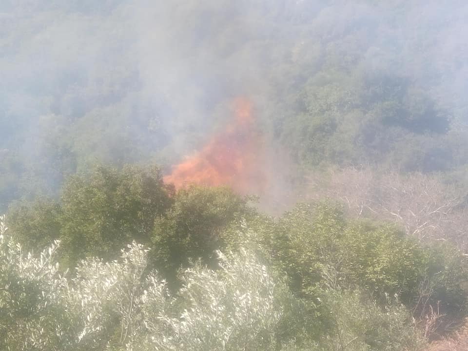 Φωτιά στο Αχλαδοχωρι Μεσσηνίας