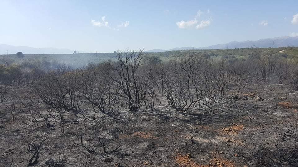 Πυρκαγιά στις Γούβες Λακωνίας