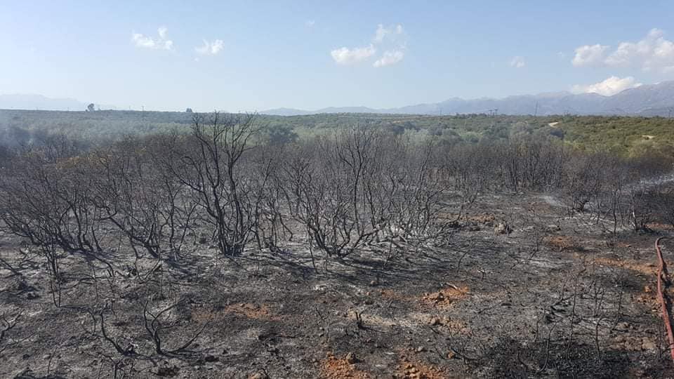 Πυρκαγιά στις Γούβες Λακωνίας