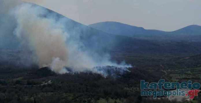 Φωτογραφίες από την πυρκαγιά στην Αρκαδία