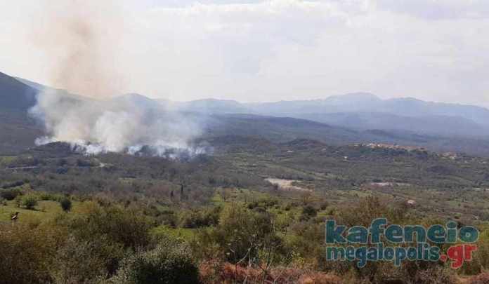 Φωτογραφίες από την πυρκαγιά στην Αρκαδία