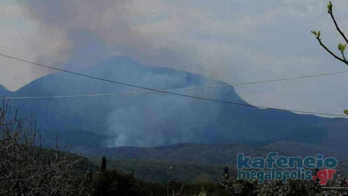 Φωτογραφίες από την πυρκαγιά στην Αρκαδία