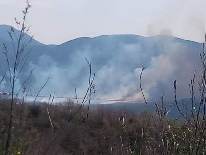 Φωτογραφίες από την πυρκαγιά στην Αρκαδία