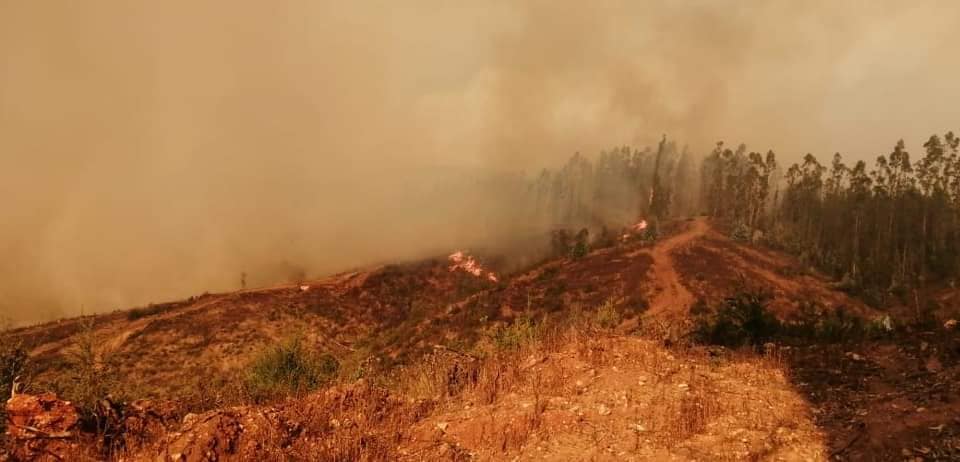 Μεγάλη πυρκαγιά στην περιοχή licantén της Χιλής