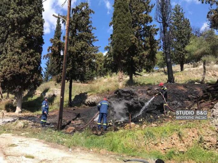 Πυρκαγιά ξέσπασε σε Αμυγδαλίτσα και προφήτη Ηλία Αργολίδας