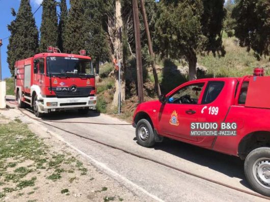 Πυρκαγιά ξέσπασε σε Αμυγδαλίτσα και προφήτη Ηλία Αργολίδας