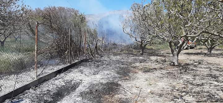 Απο την σημερινή πυρκαγιά στην Ανάβυσσο Αττικής