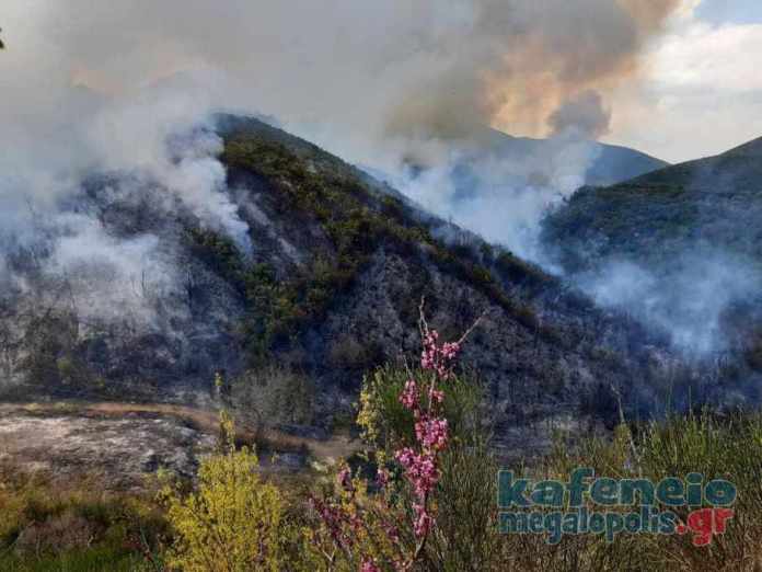 2 πυρκαγιές αυτήν την στιγμή σε χωριά της Μεγαλόπολης Αρκαδίας