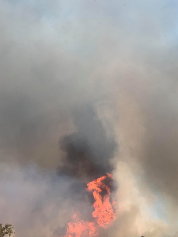 Φωτογραφίες από την πυρκαγιά που μαίνεται κοντά στο Πατίχειο