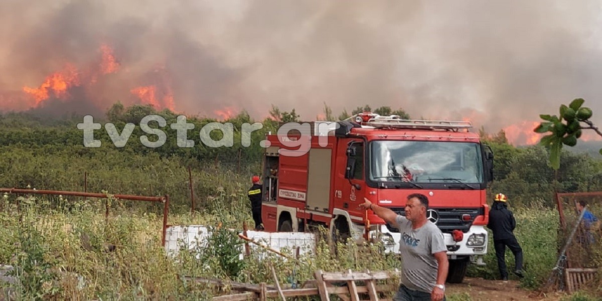 Πυρκαγιά σε δασική έκταση στο Ακραίφνιο Βοιωτίας