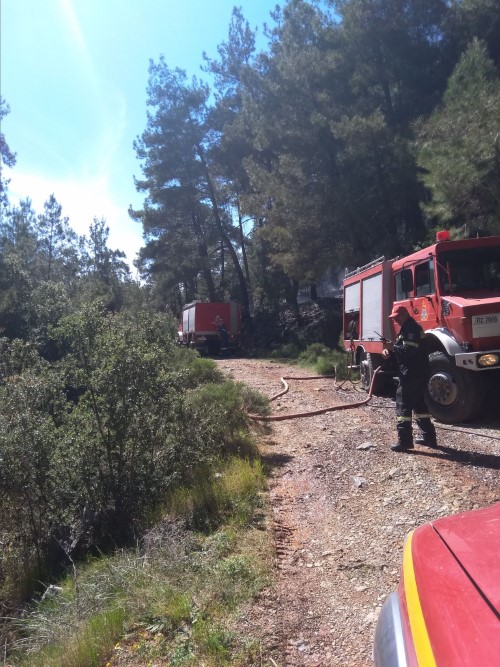 Πυρκαγιά στη Μάκρη Αρκαδίας