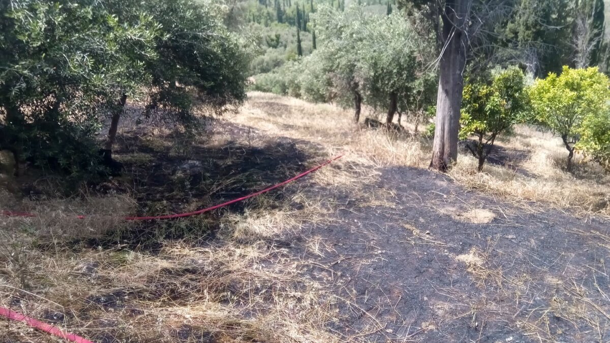 Πυρκαγιά σε δασική περιοχή στους Χωροεπισκόπους Κέρκυρας