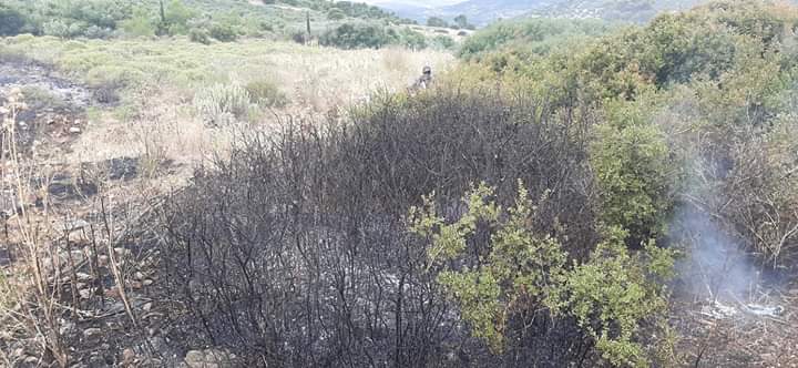 Δύο πυρκαγιές εκδηλώθηκαν στα Καλύβια Αττικής σήμερα. Φωτογραφίες από το συμβαν