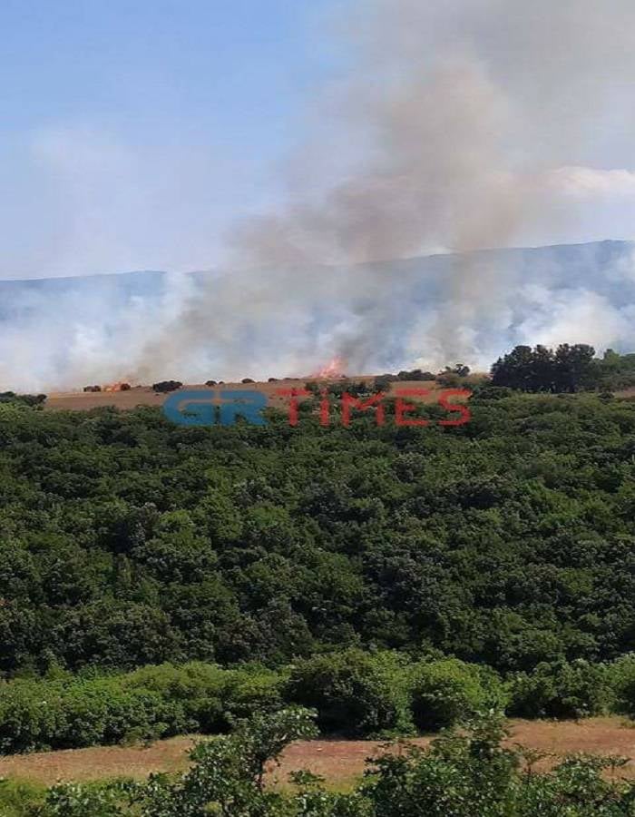 Πυρκαγιά στους πρόποδες του Ολύμπου (Βίντεο)