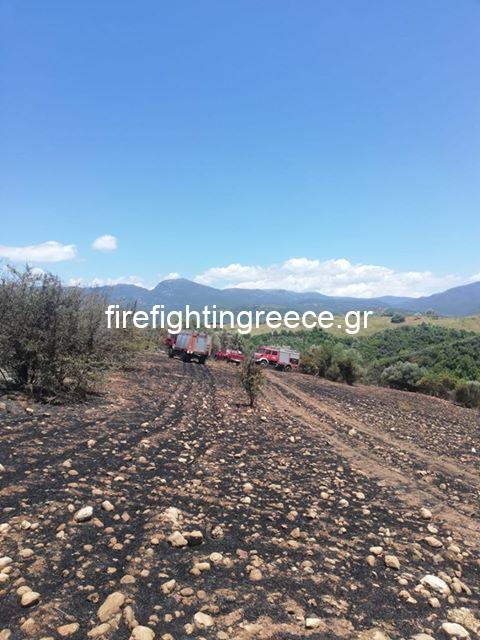 Φωτογραφικό υλικό απο την πυρκαγιά στην Ηλεία - Αποκλειστικές φωτογραφίες