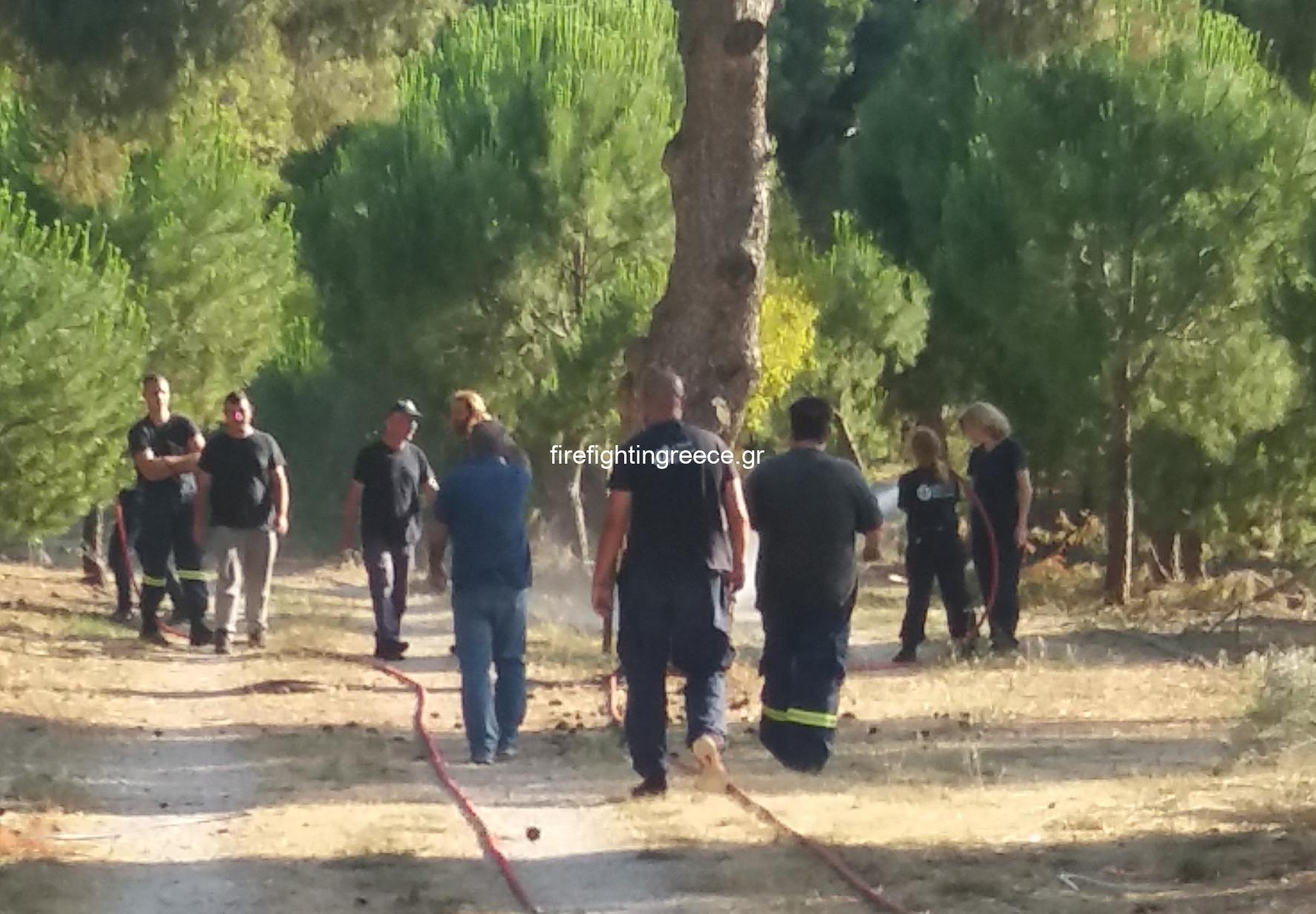 Πολιτική Προστασία Βάρης Βούλας Βουλιαγμένης: Άσκηση και εκπαιδευση προσωπικου