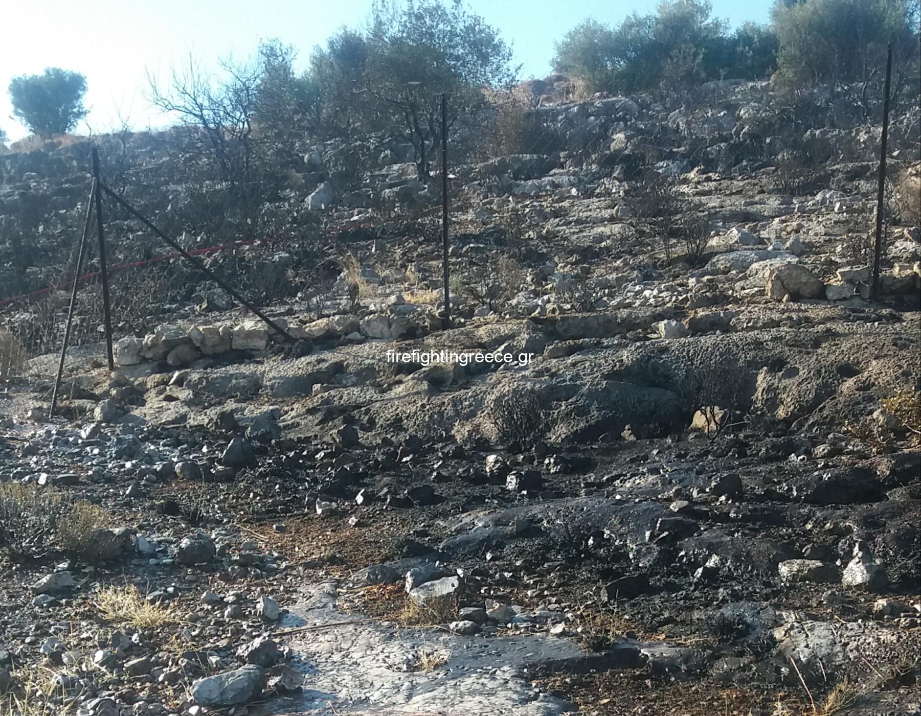 Αποκλειστικό φωτογραφικό υλικό από την πυρκαγιά στην Βάρη