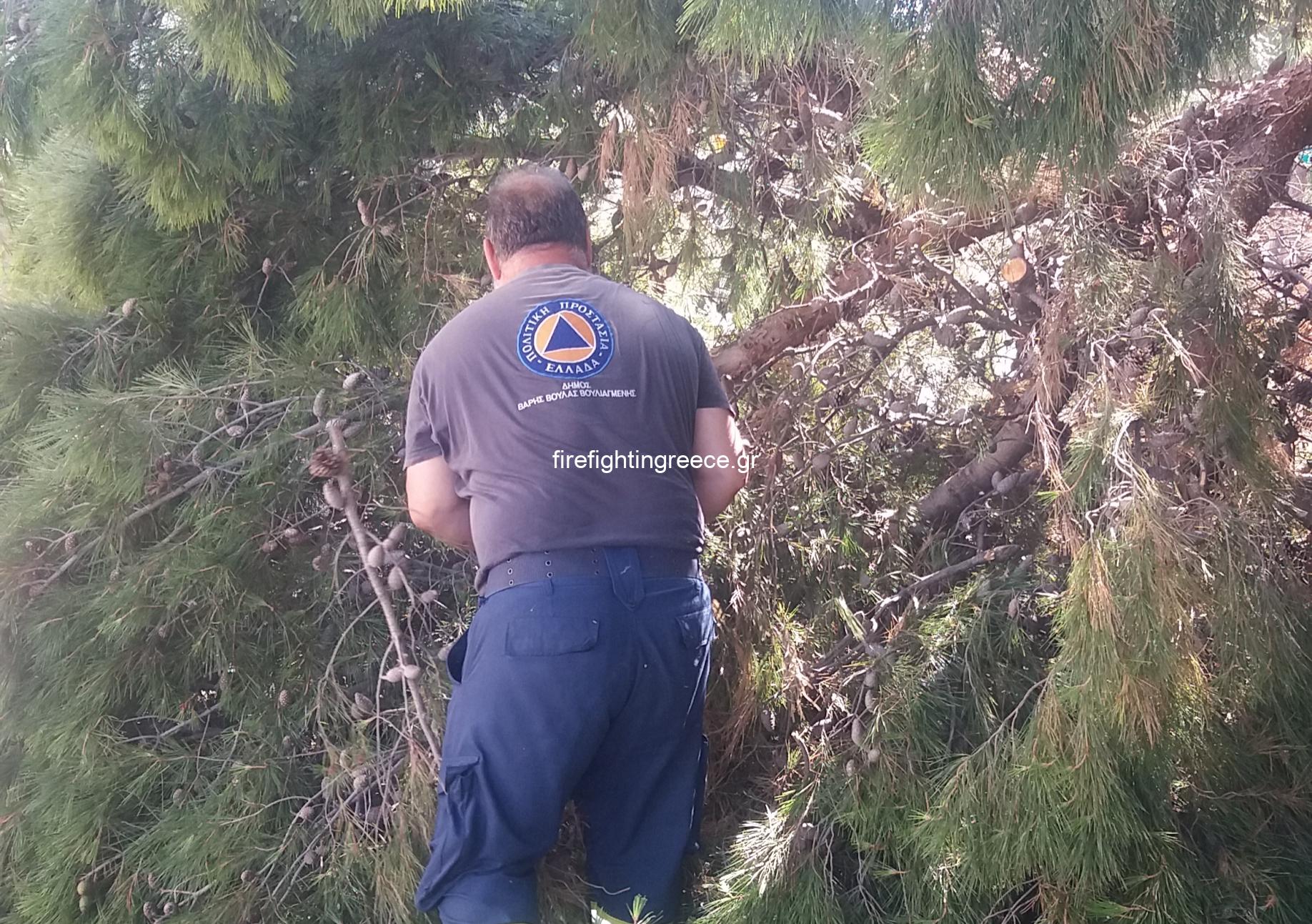 Πολιτική Προστασία Βάρης Βούλας βουλιαγμένης κοπη σπασμένης κλάρας στην βούλα