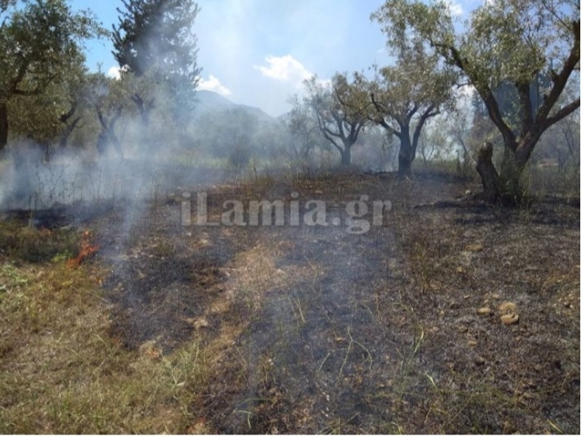 Γοργοπόταμος: Λαχτάρισαν οι κάτοικοι από φωτιά κοντά στα σπίτια