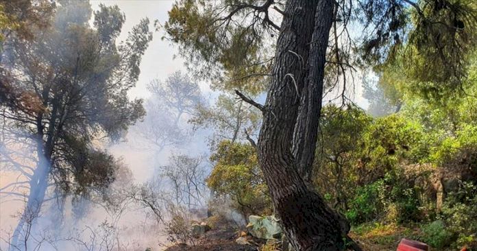 ΑΓΙΟ ΟΡΟΣ: ΜΑΙΝΕΤΑΙ Η ΜΕΓΑΛΗ ΠΥΡΚΑΓΙΆ ΤΩΡΑ