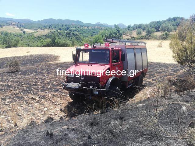 Φωτογραφικό υλικό απο την πυρκαγιά στην Ηλεία - Αποκλειστικές φωτογραφίες