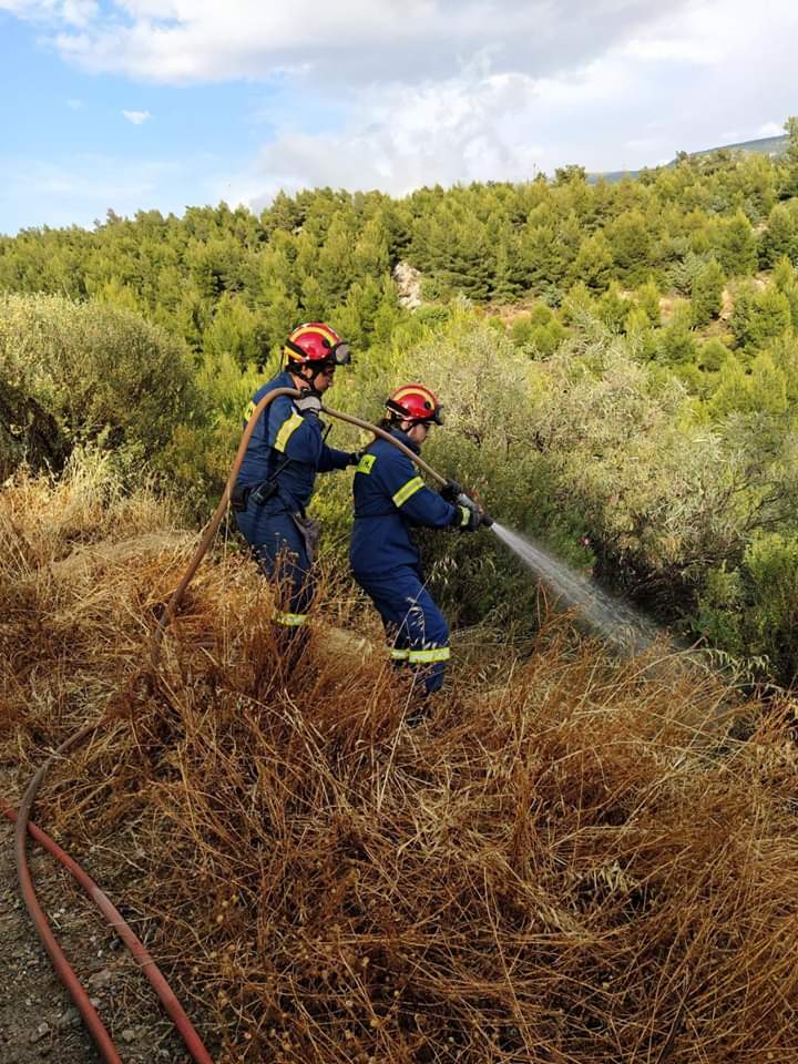 Εθελοντικη ομάδα δασοπροστασίας και πυρόσβεσης Ηλιούπολης