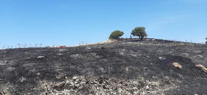 Φωτογραφικό υλικό από την πυρκαγιά στην Κερατέα Αττικής