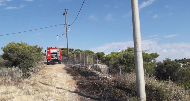 Πυρκαγια σήμερα το πρωί στον Πράσινο Λόφο Αρτέμιδος (φωτό)