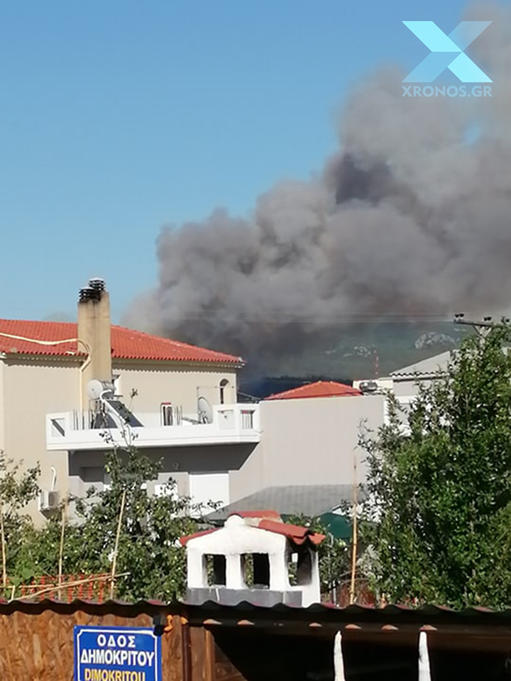 Πυρκαγιά σε δασική έκταση στην Δ.Ε. Σαπών Ροδόπης.