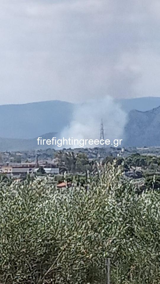 Πυρκαγιά στις Κεχριές Κορινθίας