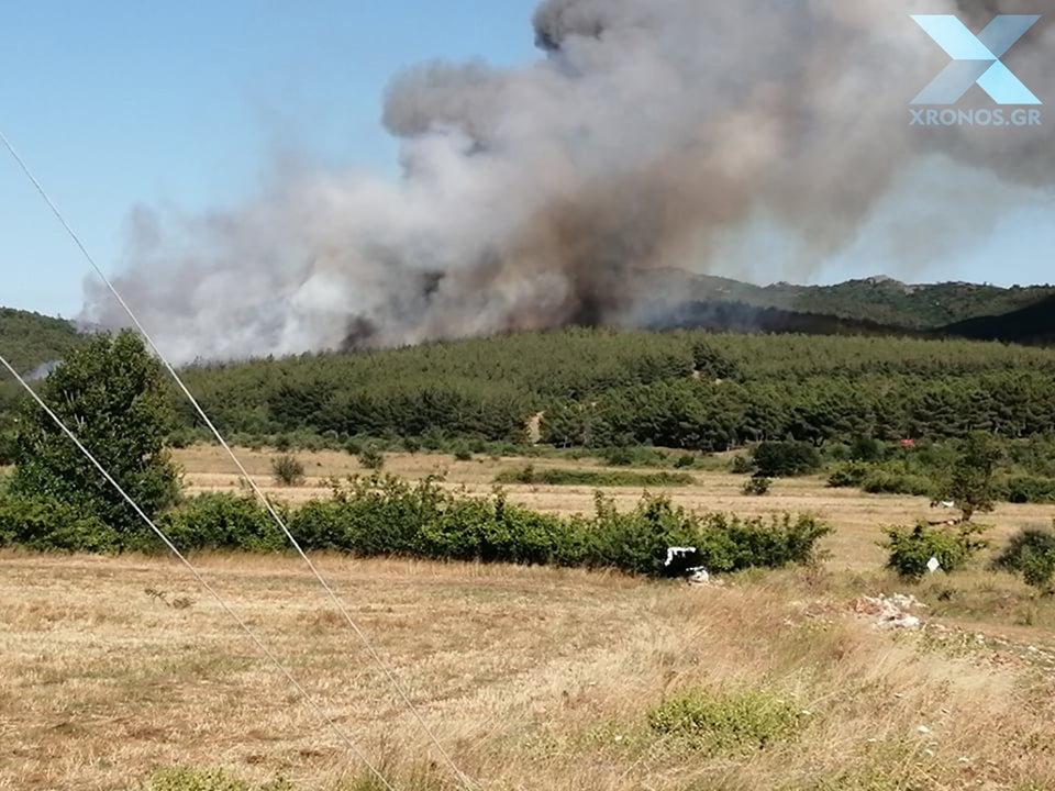 Πυρκαγιά σε δασική έκταση στην Δ.Ε. Σαπών Ροδόπης.