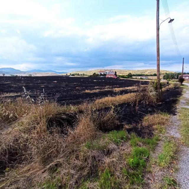 Κατασβέστηκε πυρκαγιά στο Άργος Ορεστικό.(φωτογραφίες)