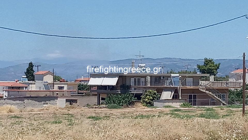 ΤΩΡΑ! Μεγάλη πυρκαγιά στην Περαχώρα Λουτρακίου