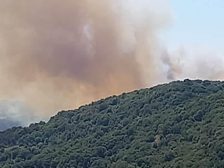 Πυρκαγιά Ηλείας: Δεν απειλείται κατοικημένη περιοχή - Δυνατοι άνεμοι δυσχεραίνουν την πυρόσβεση