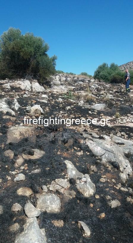 Φωτογραφικό υλικό απο την πυρκαγιά στην Βάρη