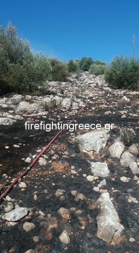 Φωτογραφικό υλικό απο την πυρκαγιά στην Βάρη