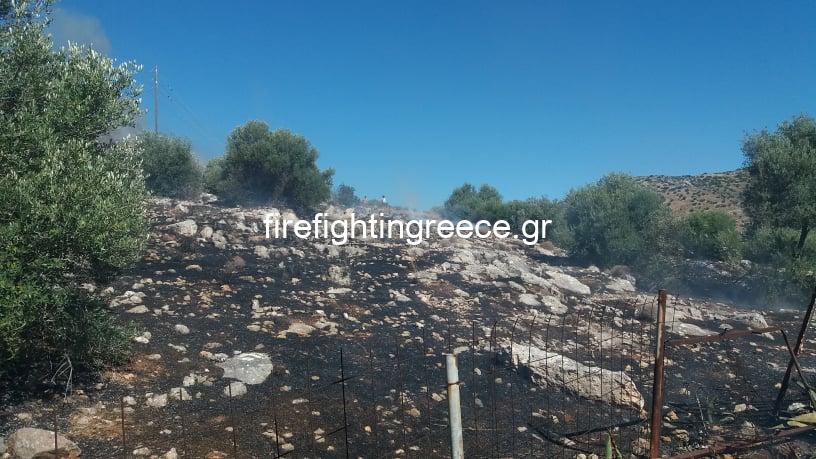 Φωτογραφικό υλικό απο την πυρκαγιά στην Βάρη