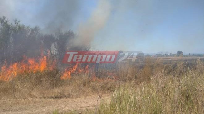 Υπό μερικό έλεγχο τέθηκε η πυρκαγιά στη Ράχη Αχαΐας.ΦΩΤΟ