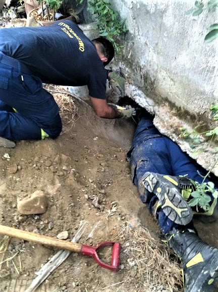 Πυροσβέστες στην Κρήτη έσωσαν κουτάβι από φριχτό θάνατο [εικόνες].