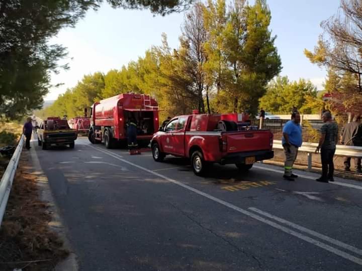 Πυρκαγιά στον παράδρομο Αυλώνα-Μαλακάσα.(φωτο)