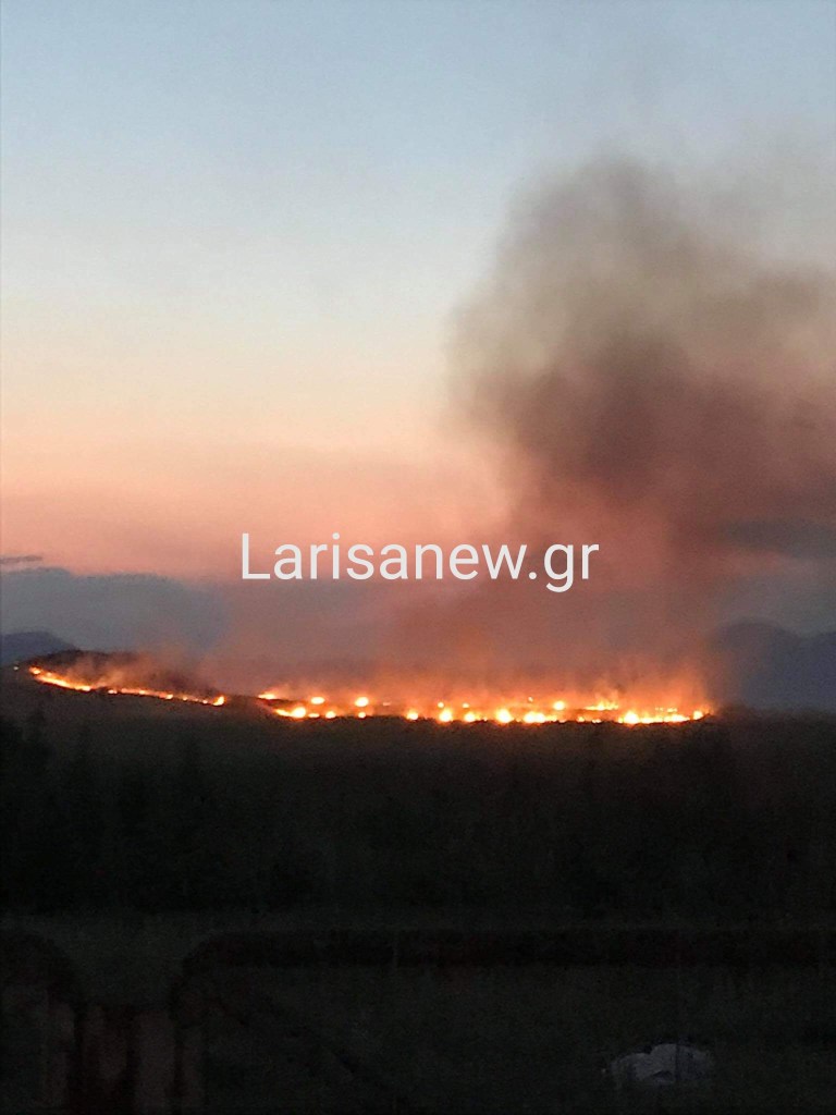 Συμβαίνει τώρα: πυρκαγιά ξέσπασε στην περιοχή Μαγούλα στη Φαλάνη.φωτο