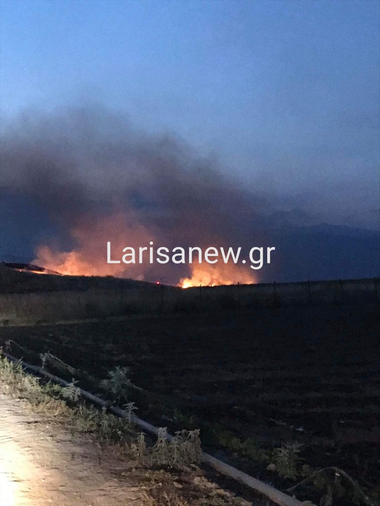 Συμβαίνει τώρα: πυρκαγιά ξέσπασε στην περιοχή Μαγούλα στη Φαλάνη.φωτο