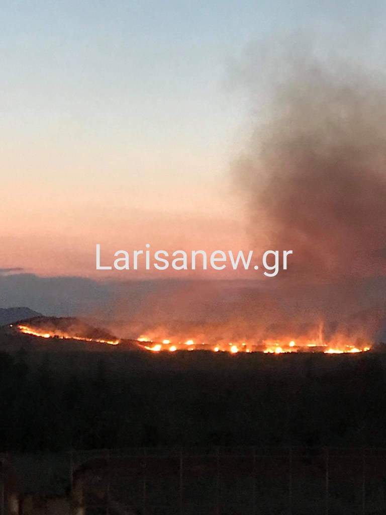 Συμβαίνει τώρα: πυρκαγιά ξέσπασε στην περιοχή Μαγούλα στη Φαλάνη.φωτο