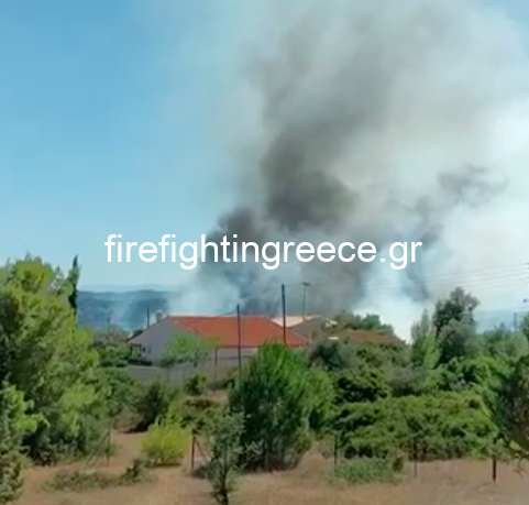 Πυρκαγιά στην Πετροθάλασσα Ερμιόνης Αργολίδας