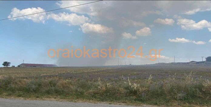 Πυρκαγιά τώρα στο Ωραιόκαστρο Θεσσαλονίκης