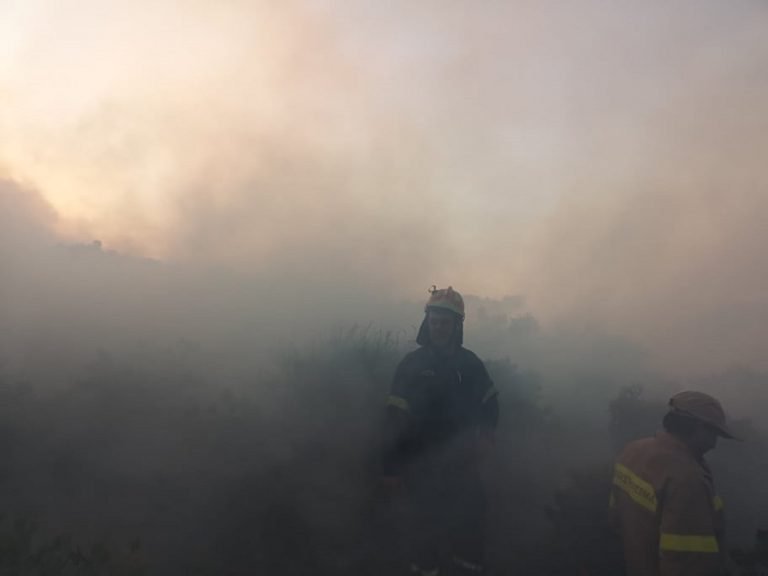 ΦΩΤΟΣΤΙΓΜΕΣ – Η μεγάλη μάχη των πυροσβεστών με τη φωτιά στον Σκοπό – Οι εικόνες τα λένε όλα